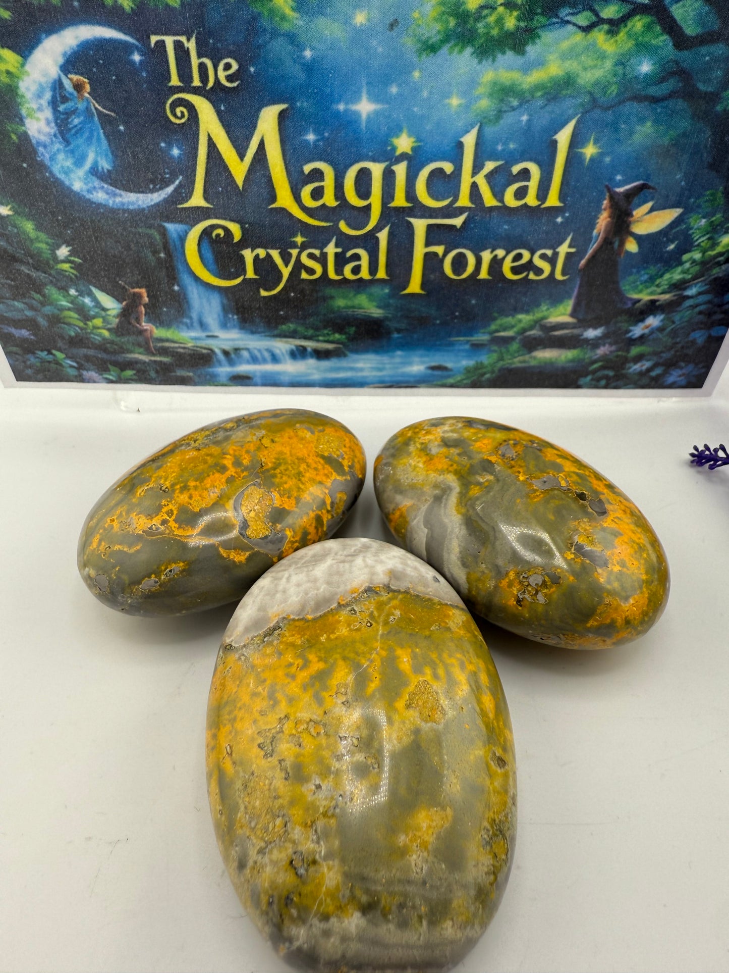 Bumble Bee Jasper Palm Stones