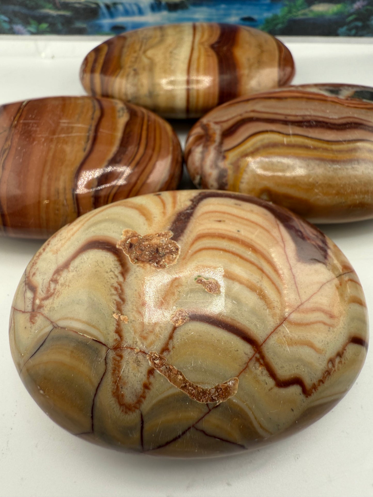 Wave Dolomite Palm Stone