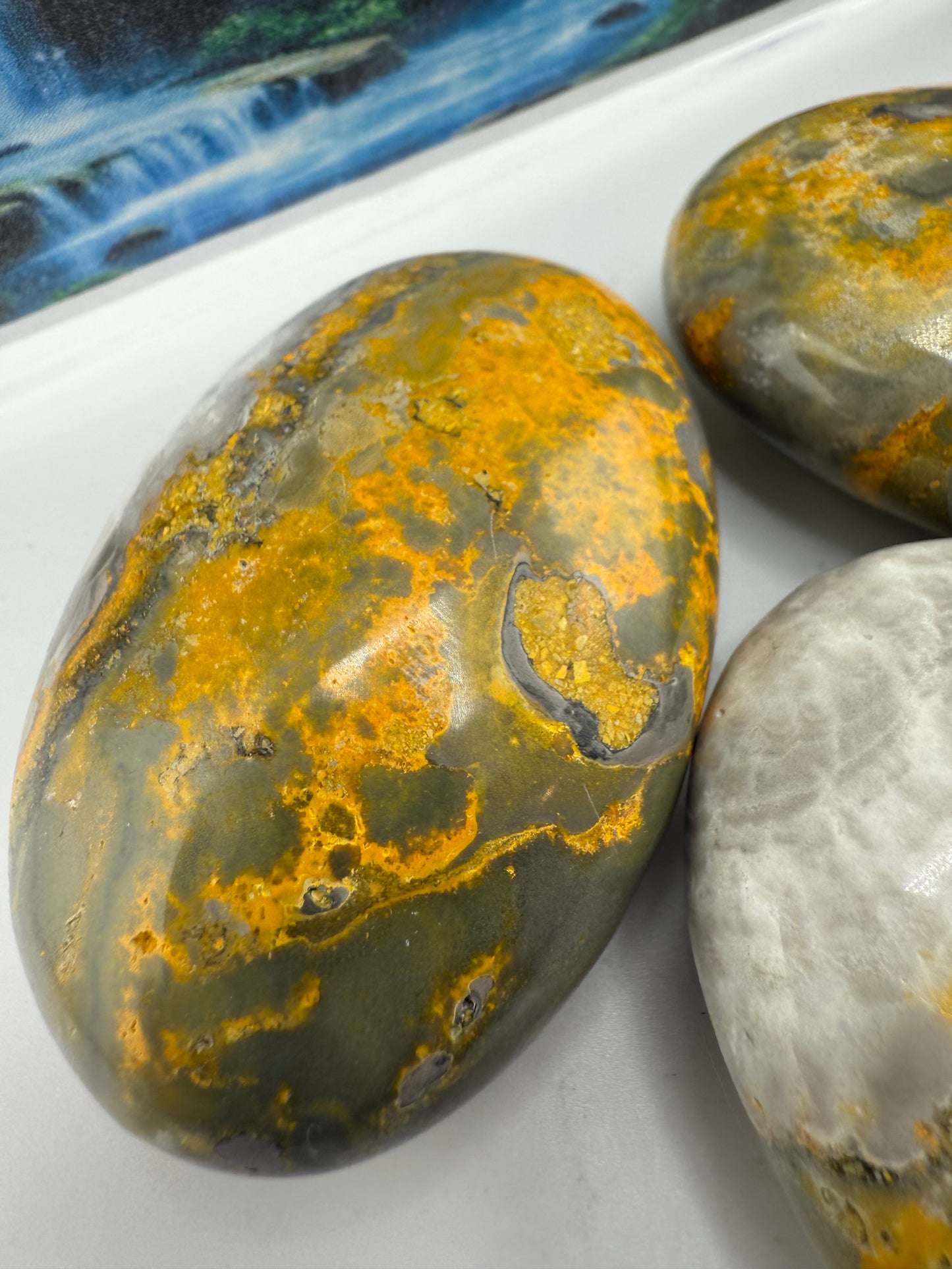 Bumble Bee Jasper Palm Stones