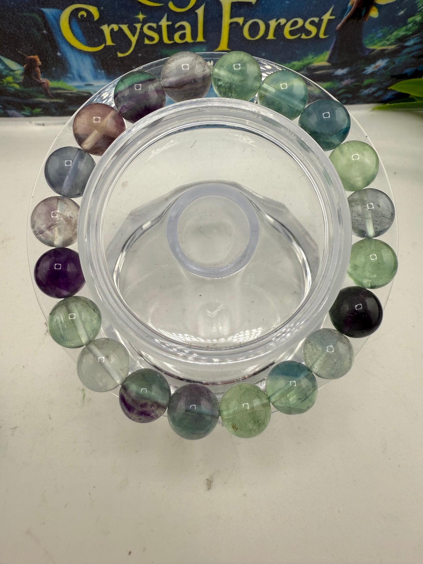 Fluorite Bead Bracelet 10mm