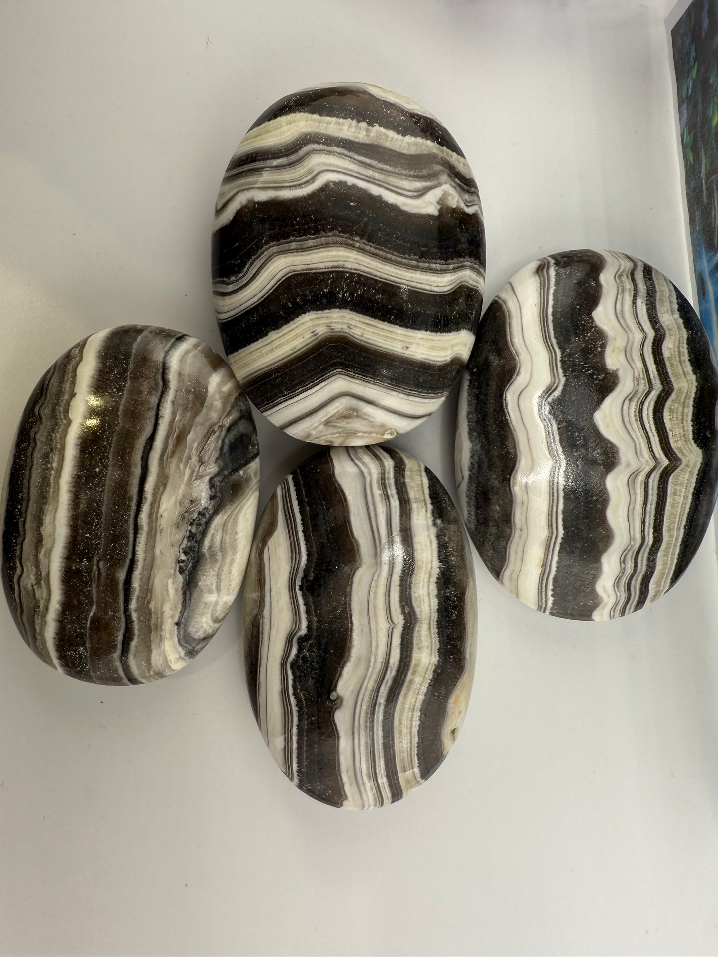 Zebra Jasper Palm Stone