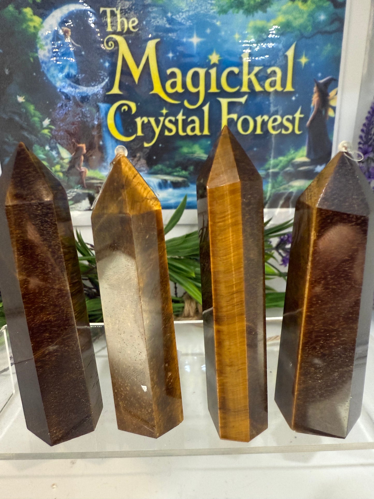 Gold Tigers eye points