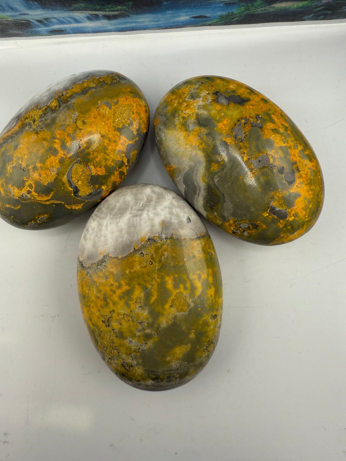 Bumble Bee Jasper Palm Stones