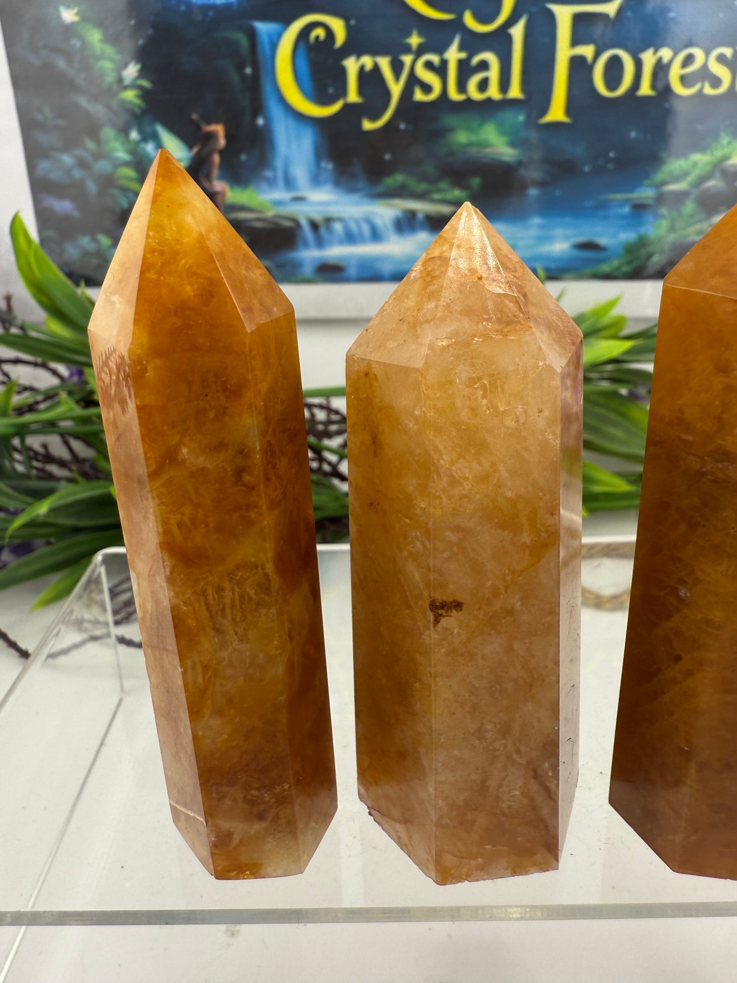 Golden Healer Point