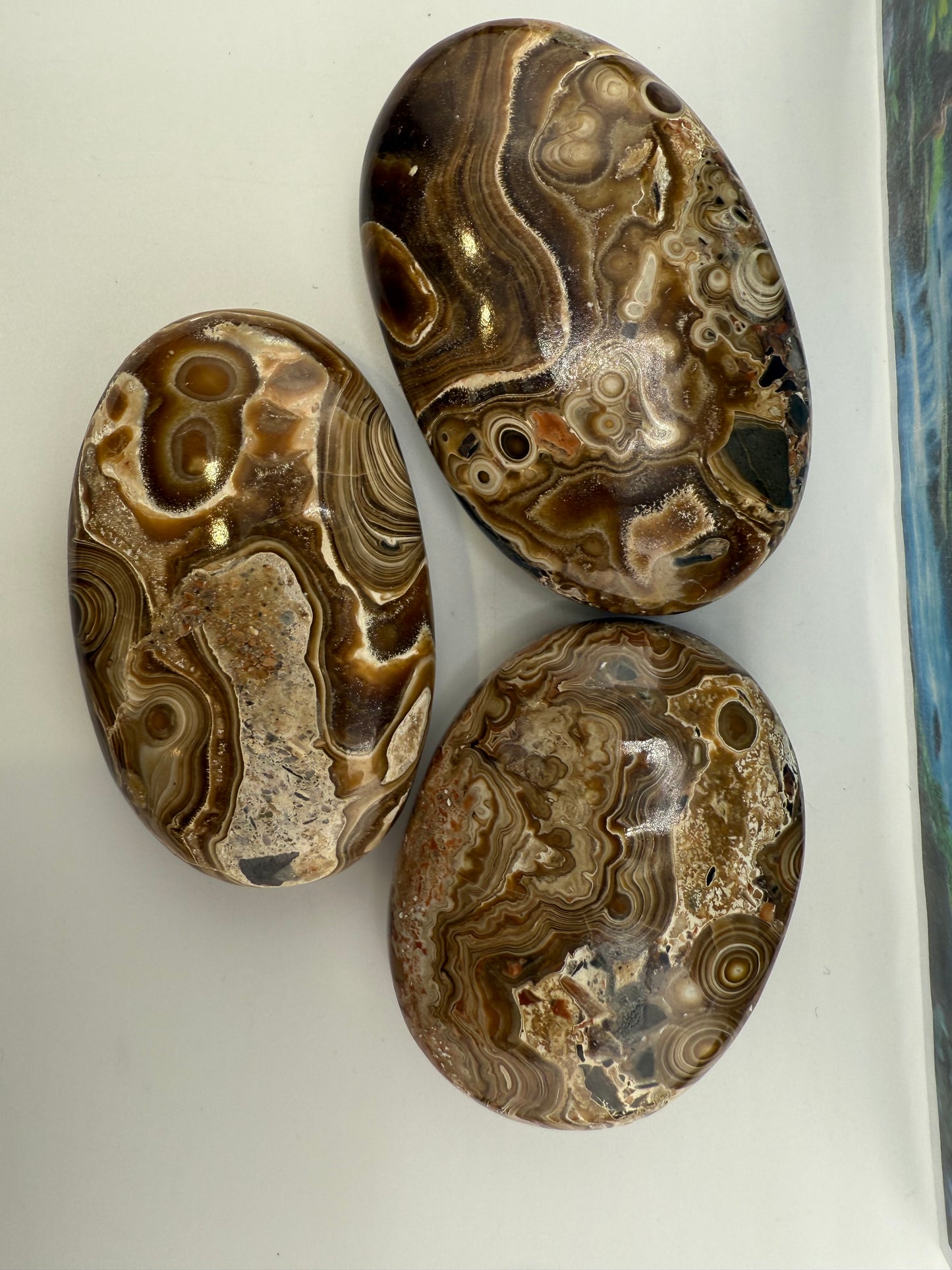 Wood Schalenblende Palm Stone