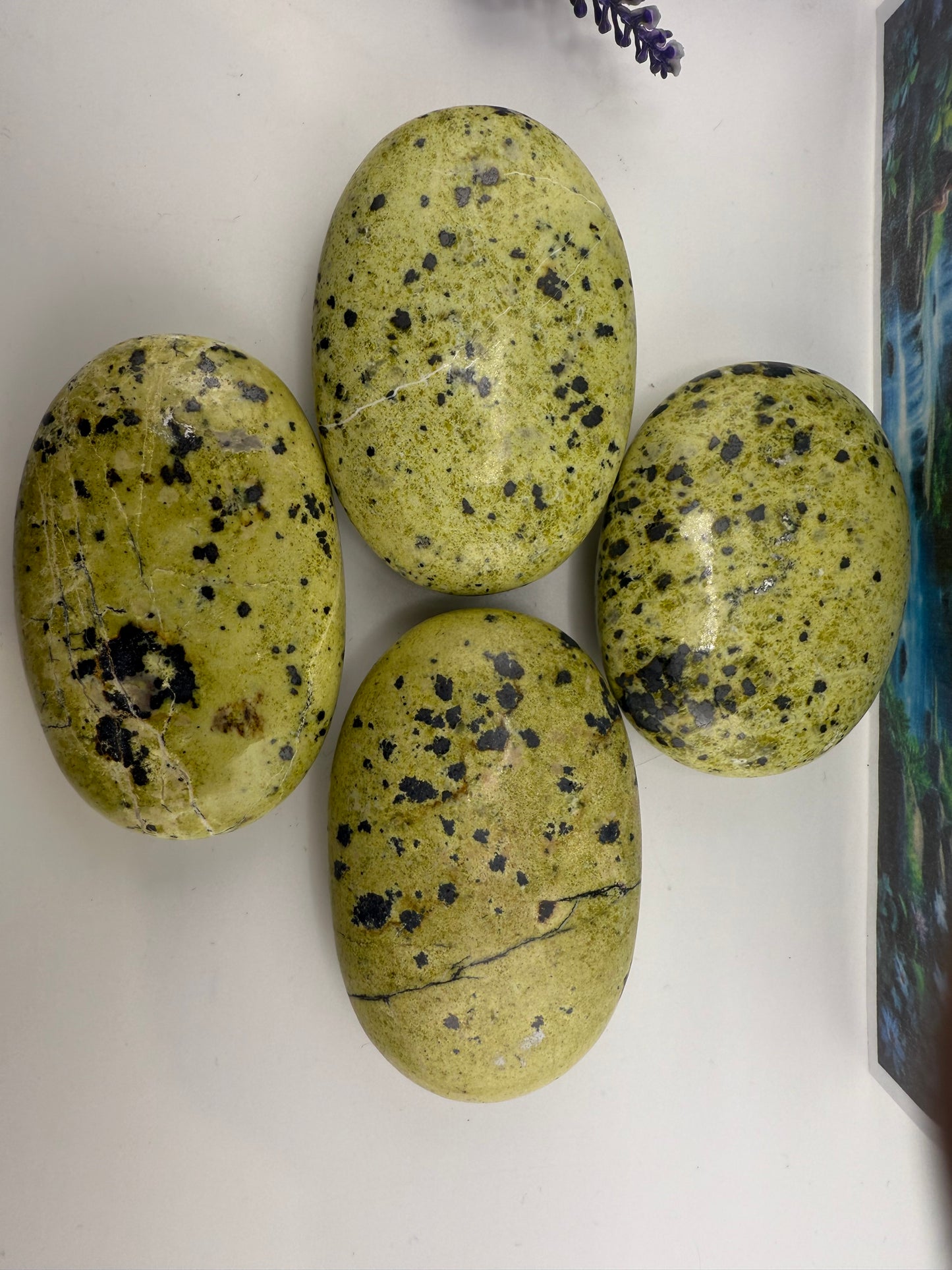 Lizardite Palm Stone