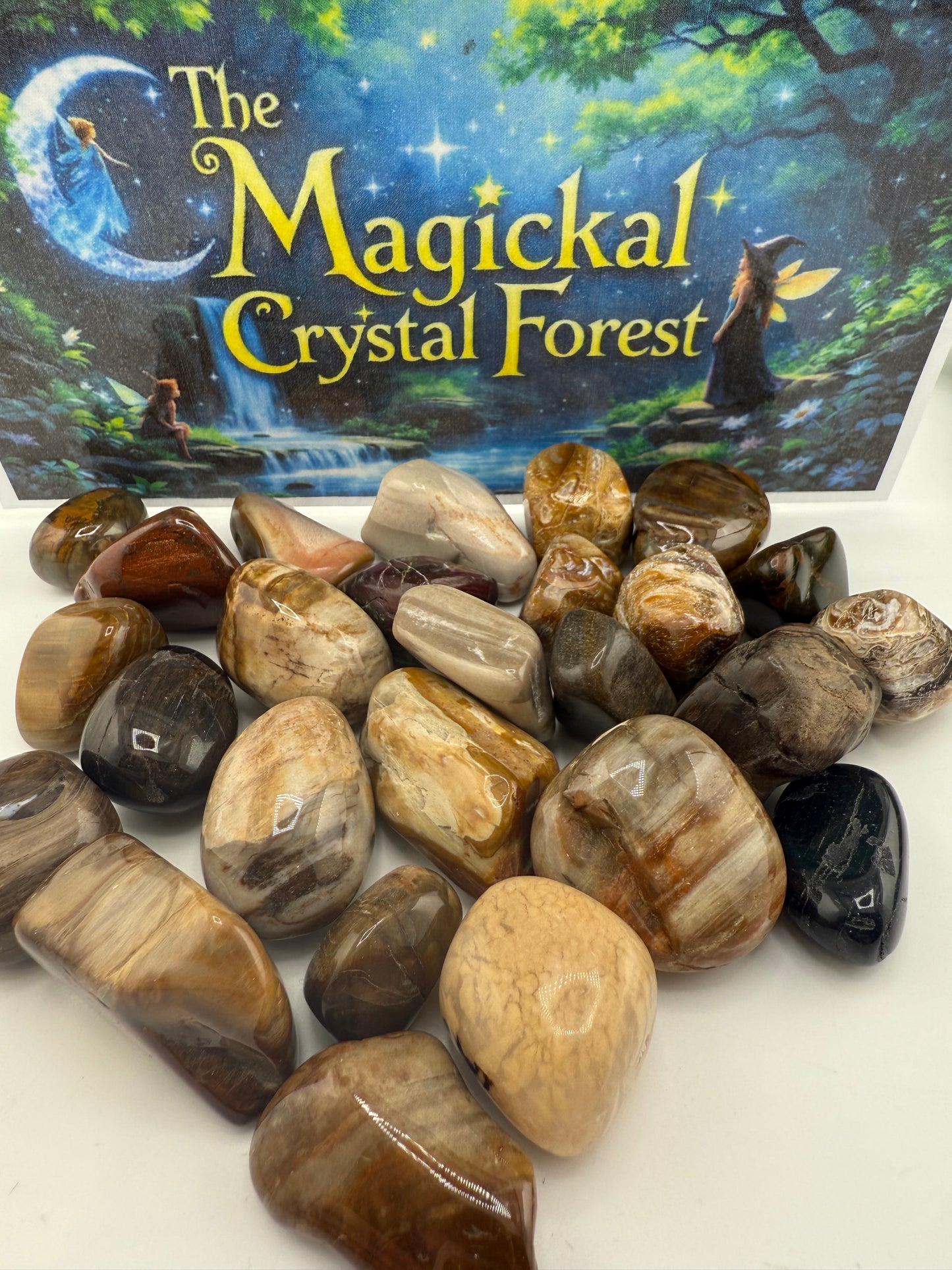 Petrified Wood Tumbled