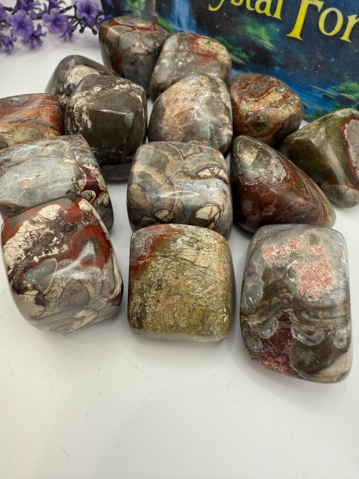 Mushroom Jasper Tumbled