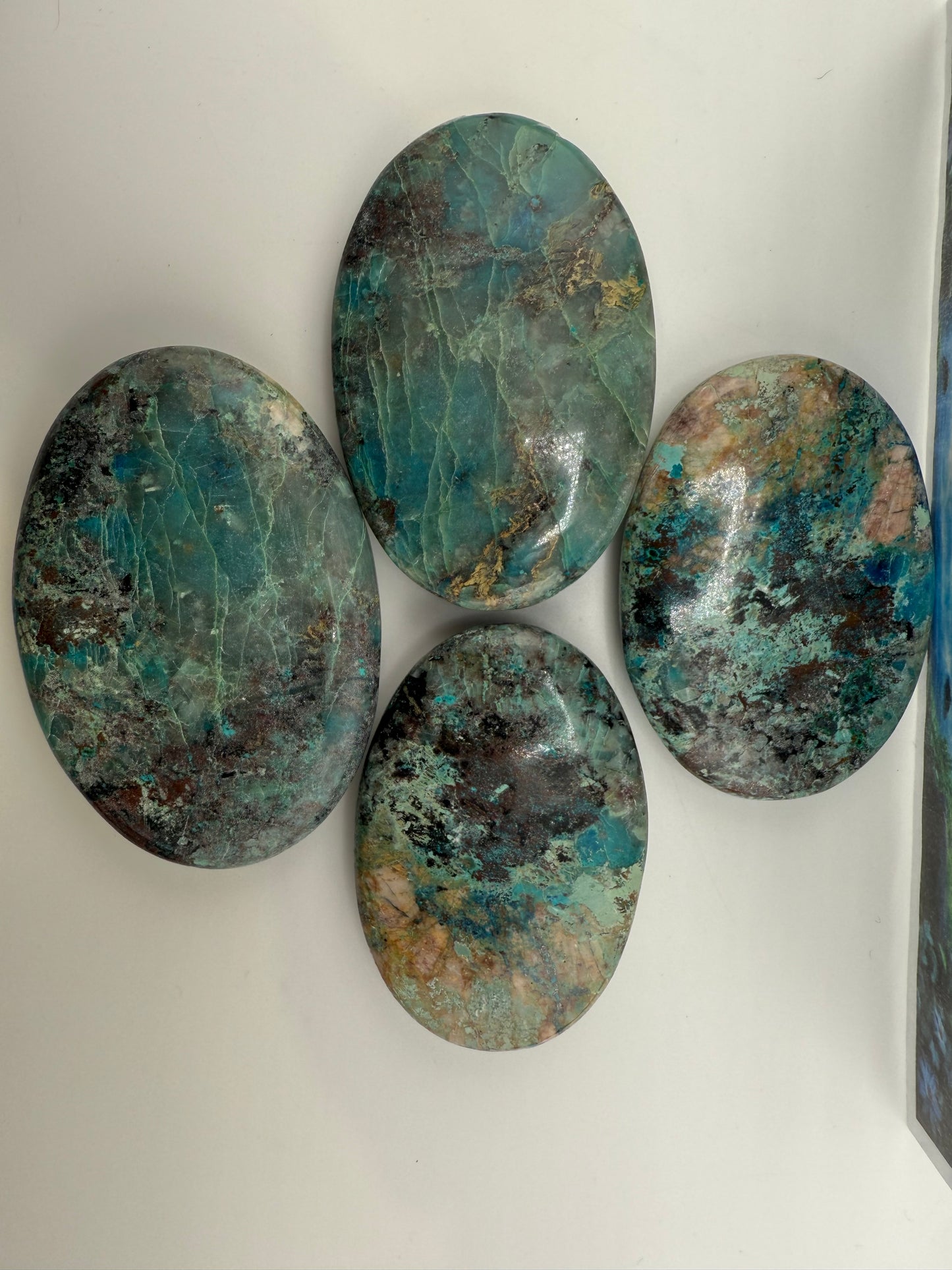 Quantum Quattro Sillica Palm Stone