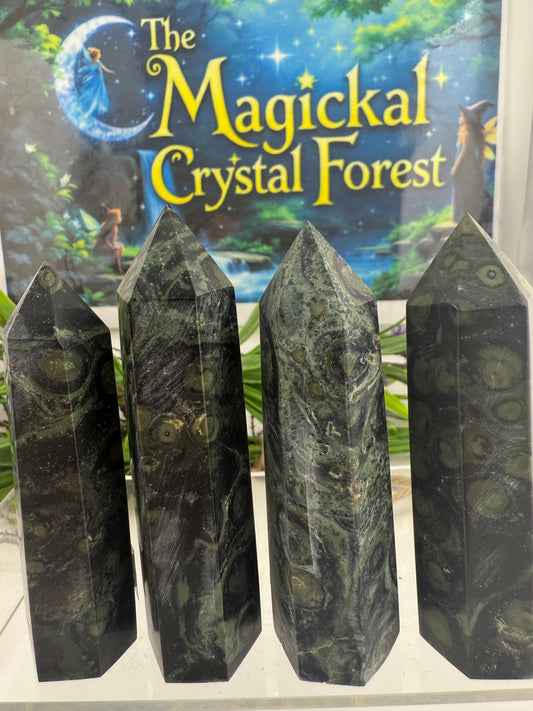 Kambaba Jasper Points