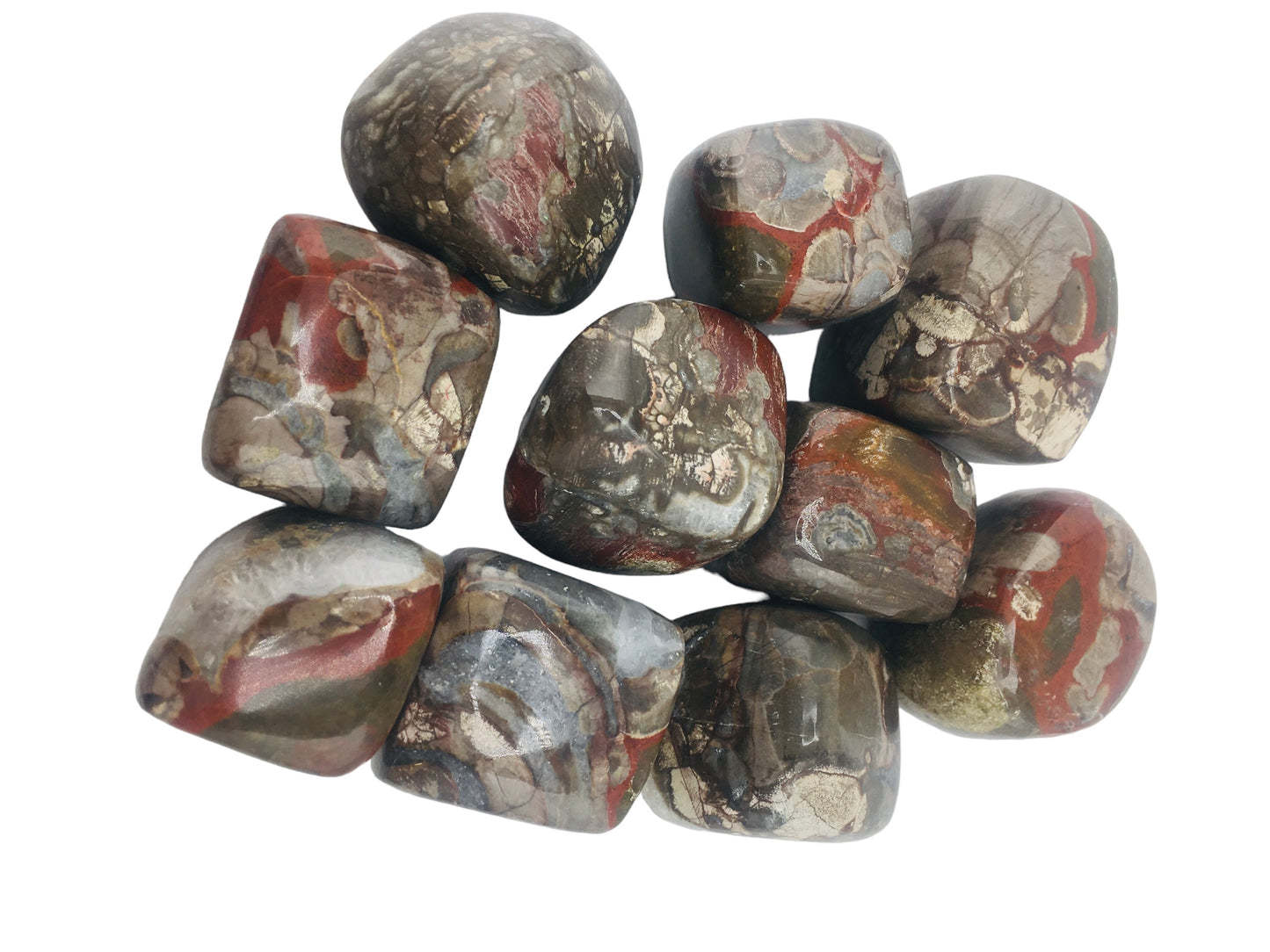 Mushroom Jasper Tumbled