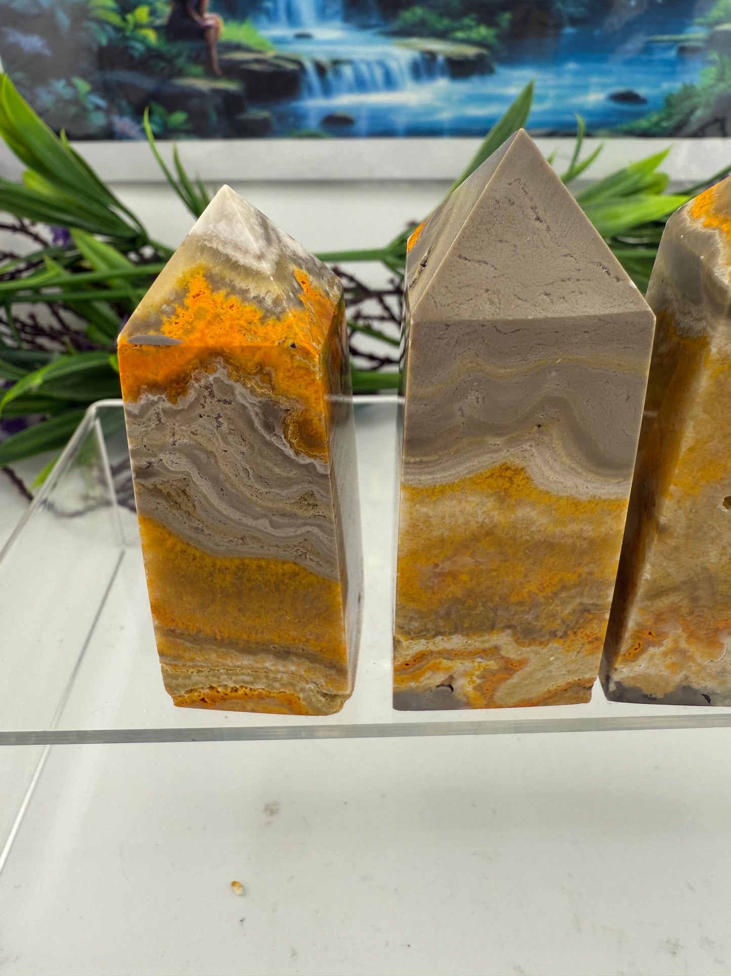 Bumble Bee Jasper Points