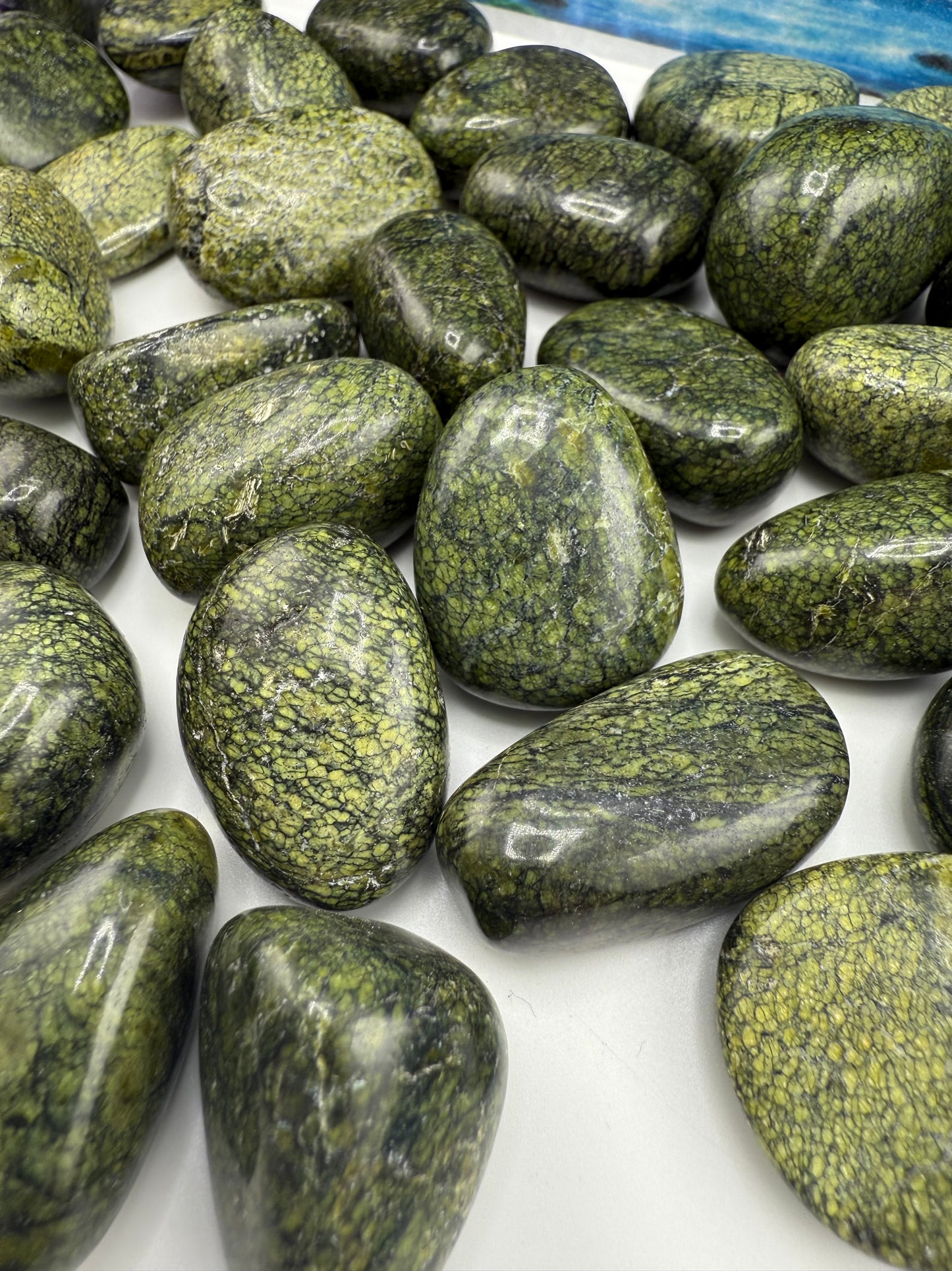 Green Snakeskin Jasper Tumbled