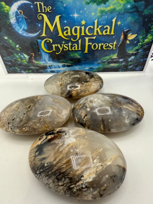 Dendritic Opal Palm Stones