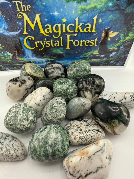Tree Agate Tumbled