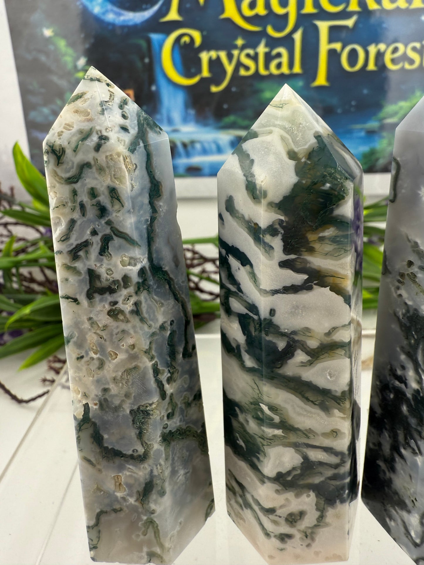 Tree Agate Points