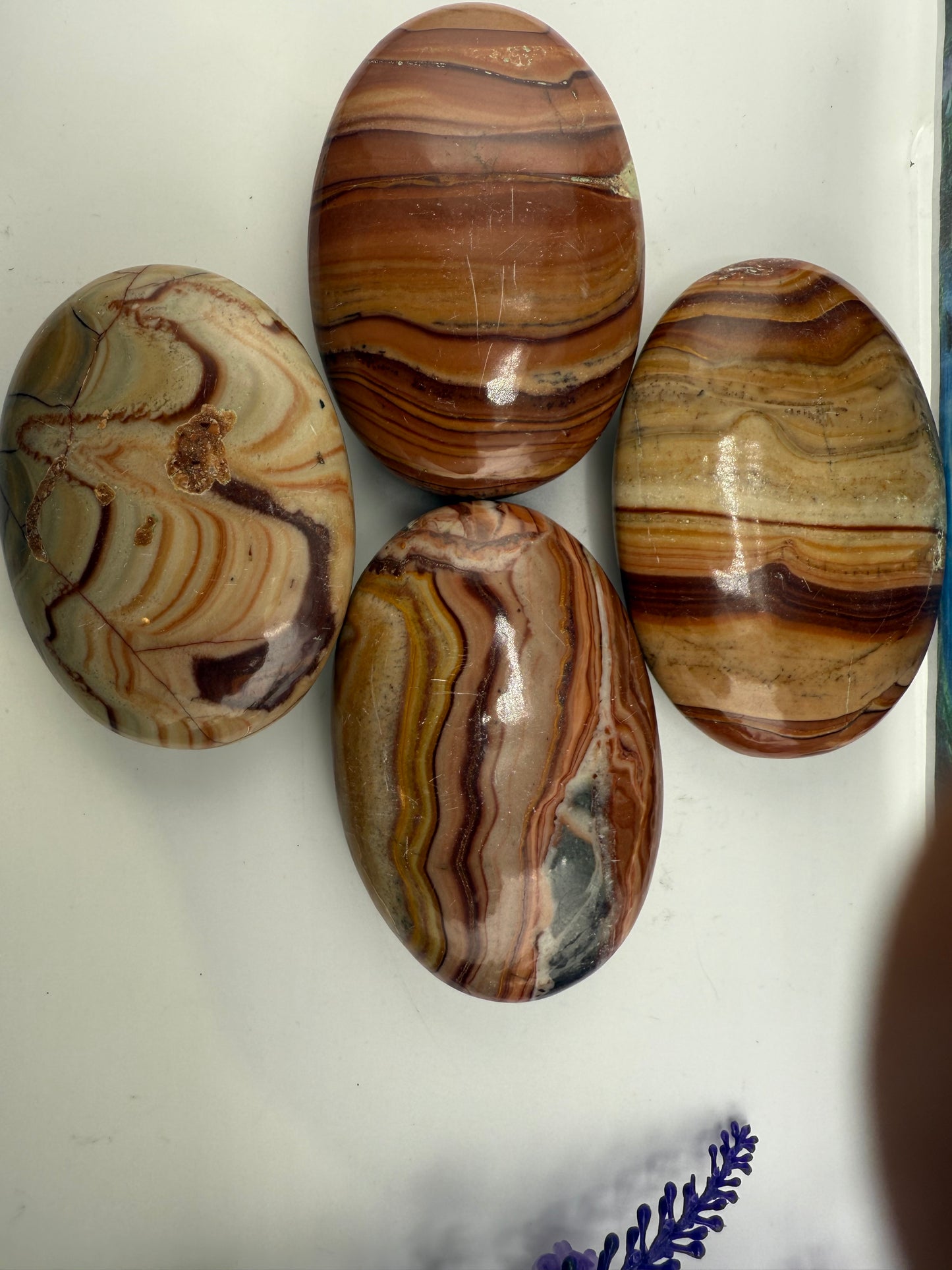 Wave Dolomite Palm Stone