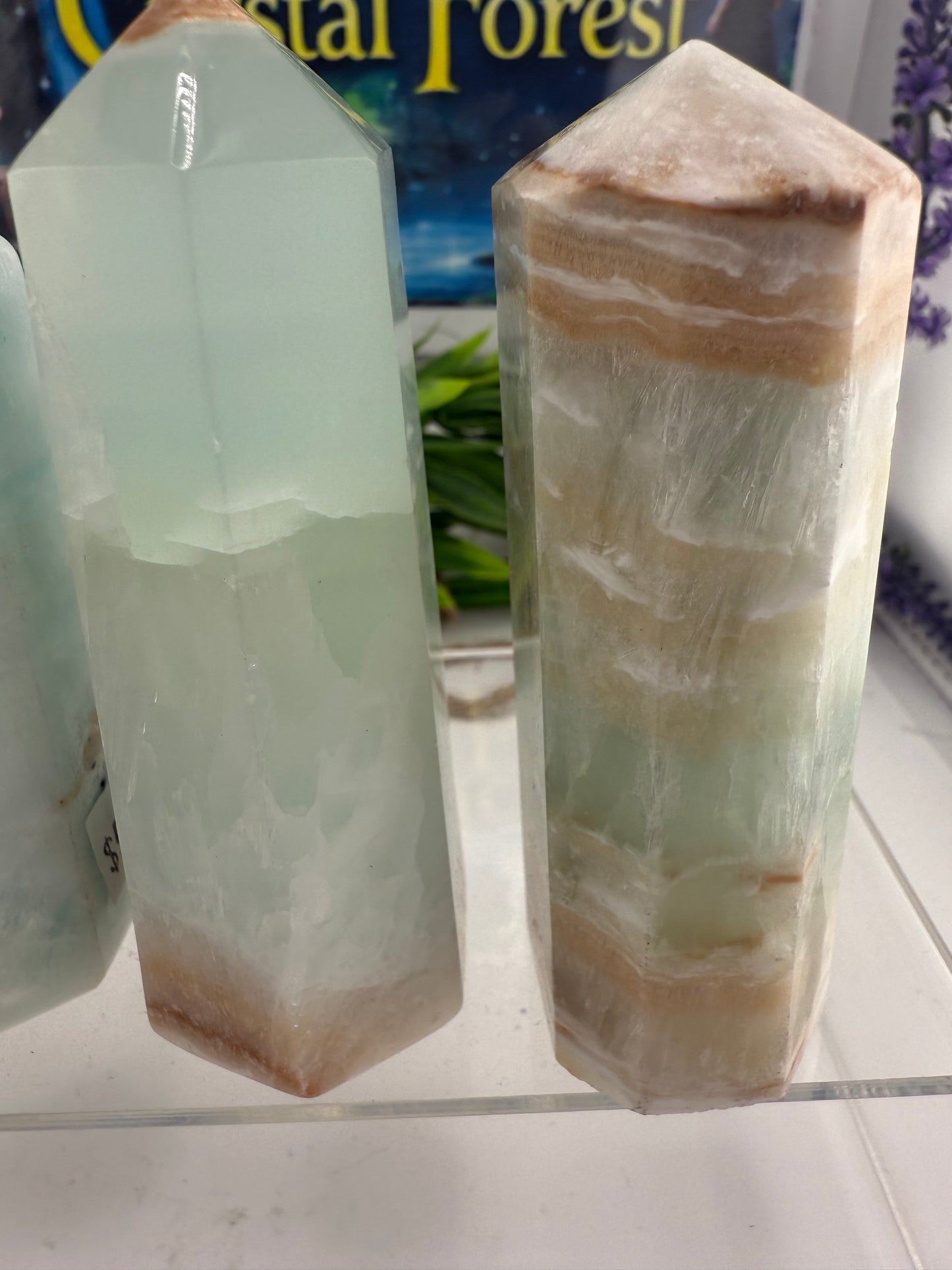 Caribbean Calcite Points