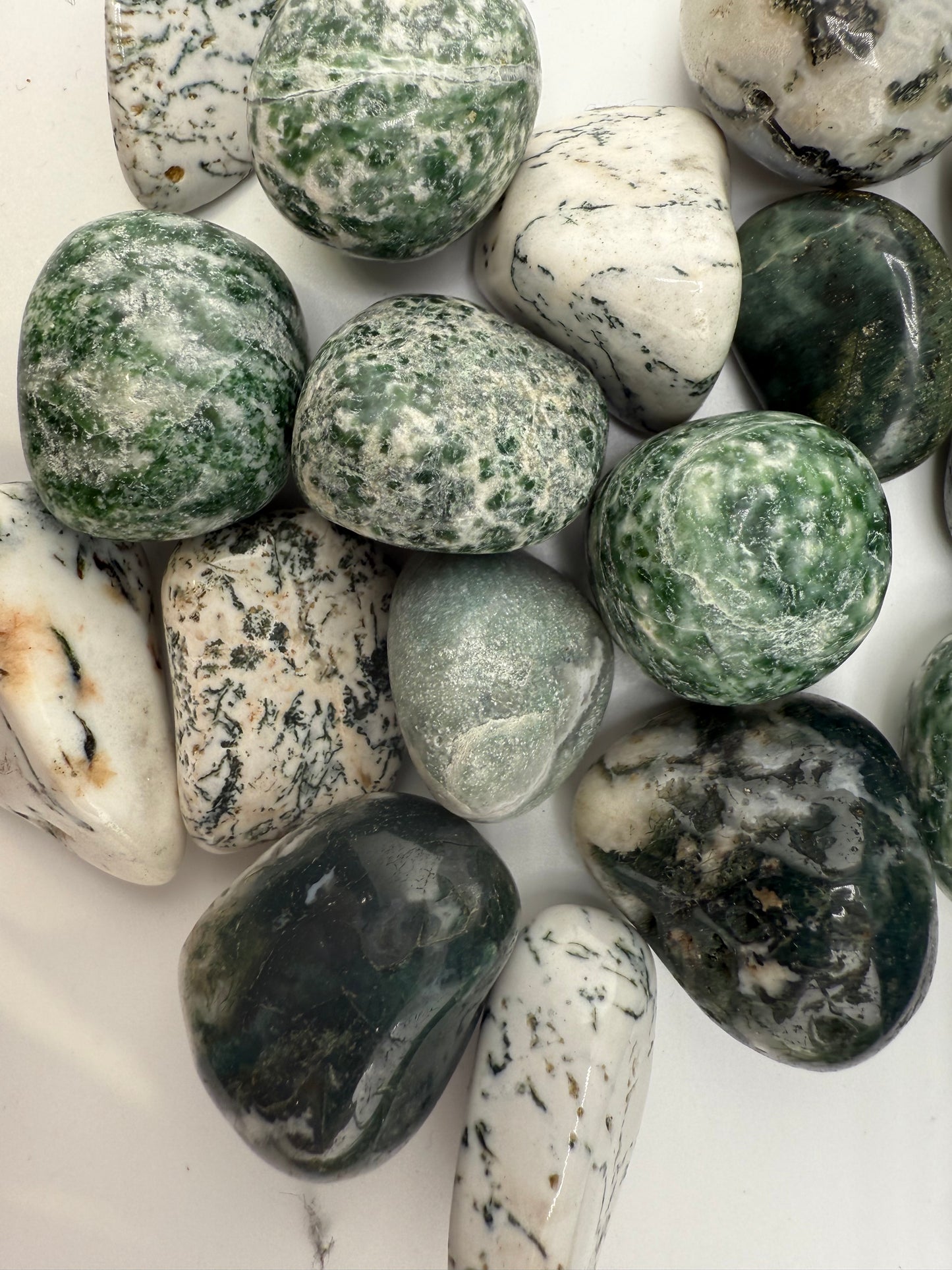 Tree Agate Tumbled