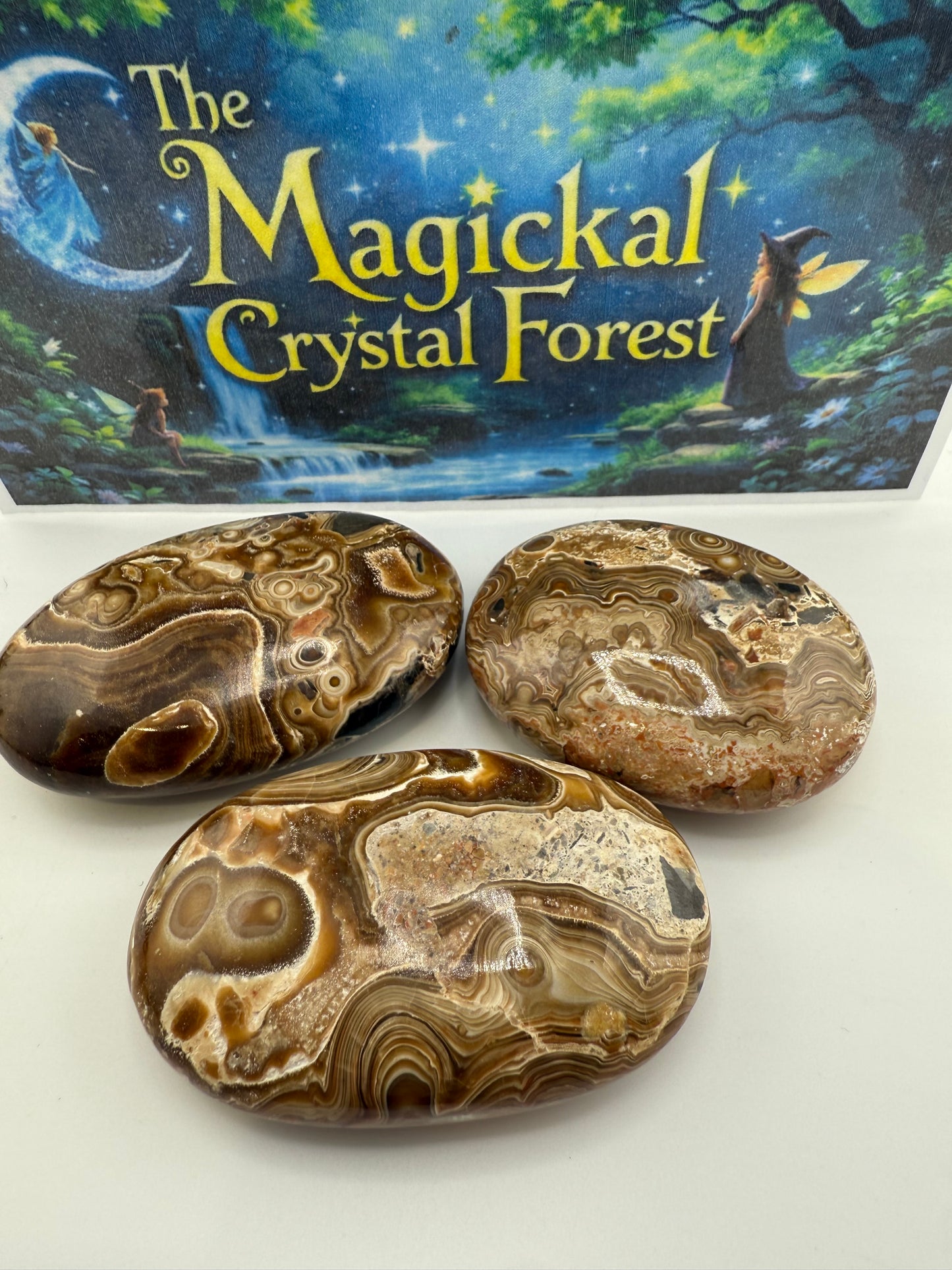 Wood Schalenblende Palm Stone
