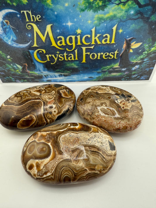 Wood Schalenblende Palm Stone