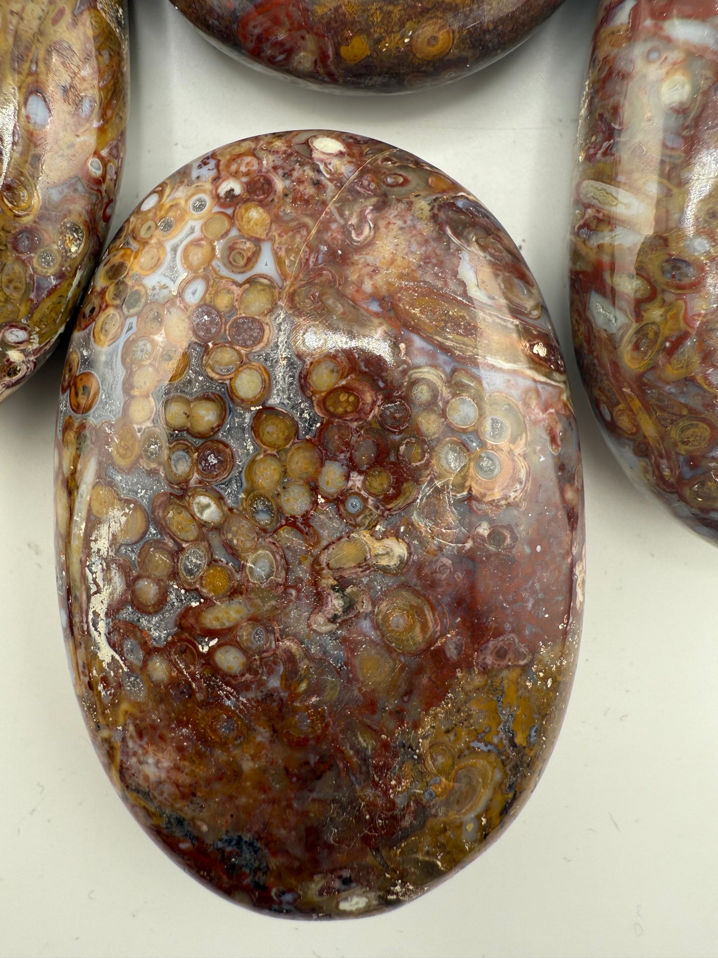 Stromatolite Palm Stone