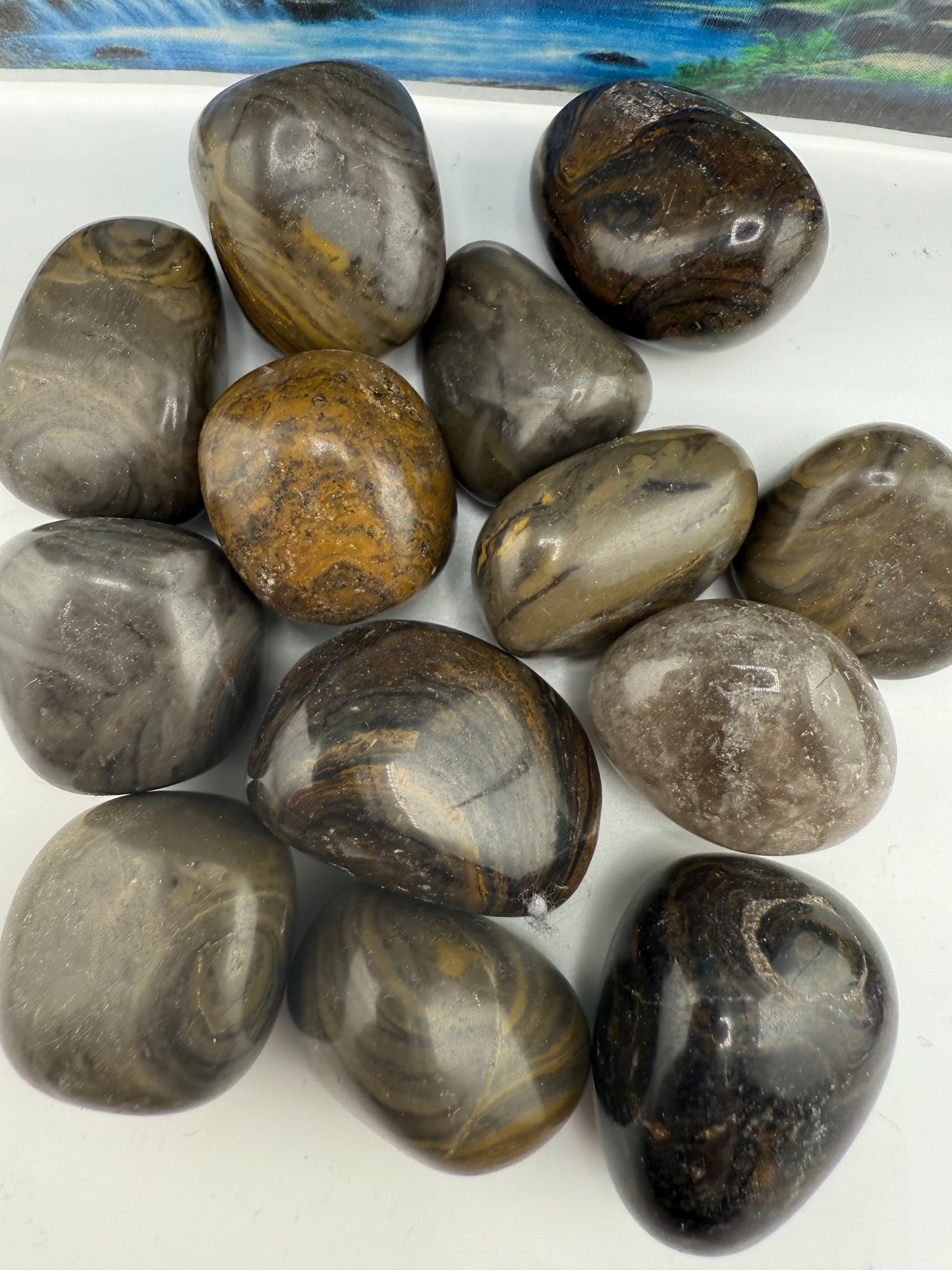Stromatolite Tumbled