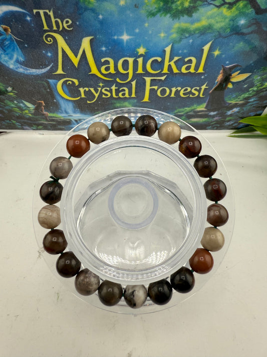 Petrified Wood Bead  Bracelet 10mm