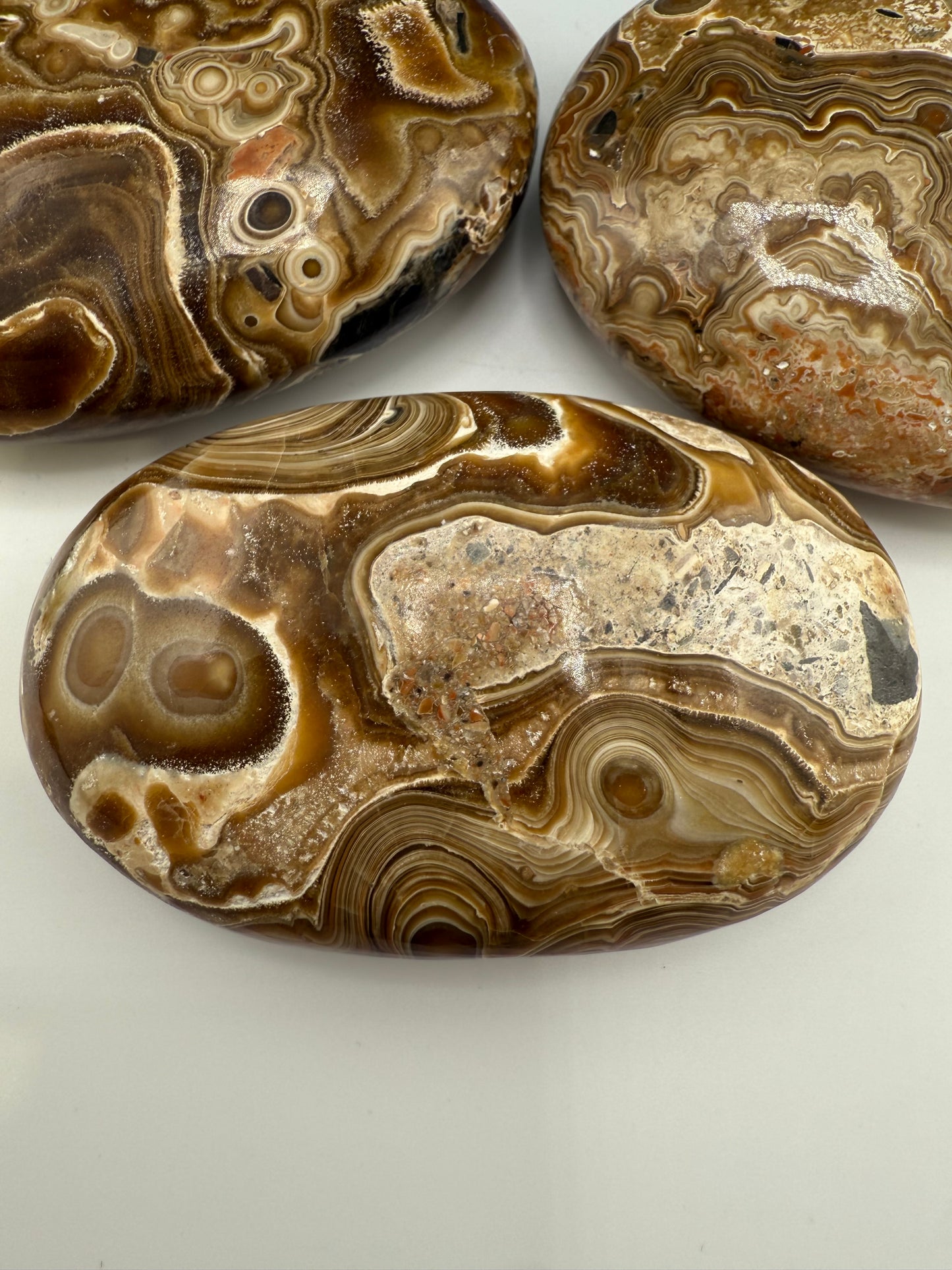 Wood Schalenblende Palm Stone