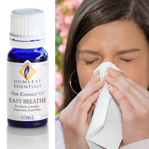Easy Breathe Oil Blend