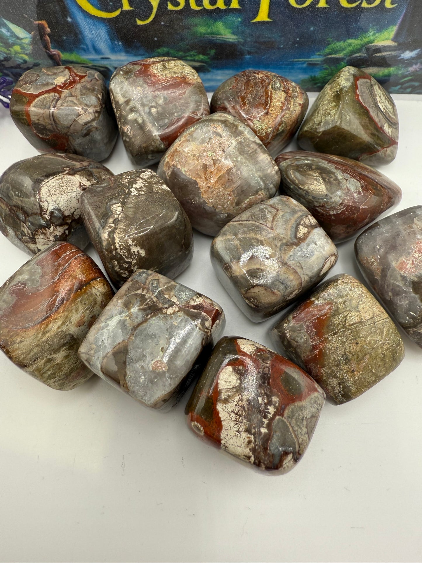 Mushroom Jasper Tumbled