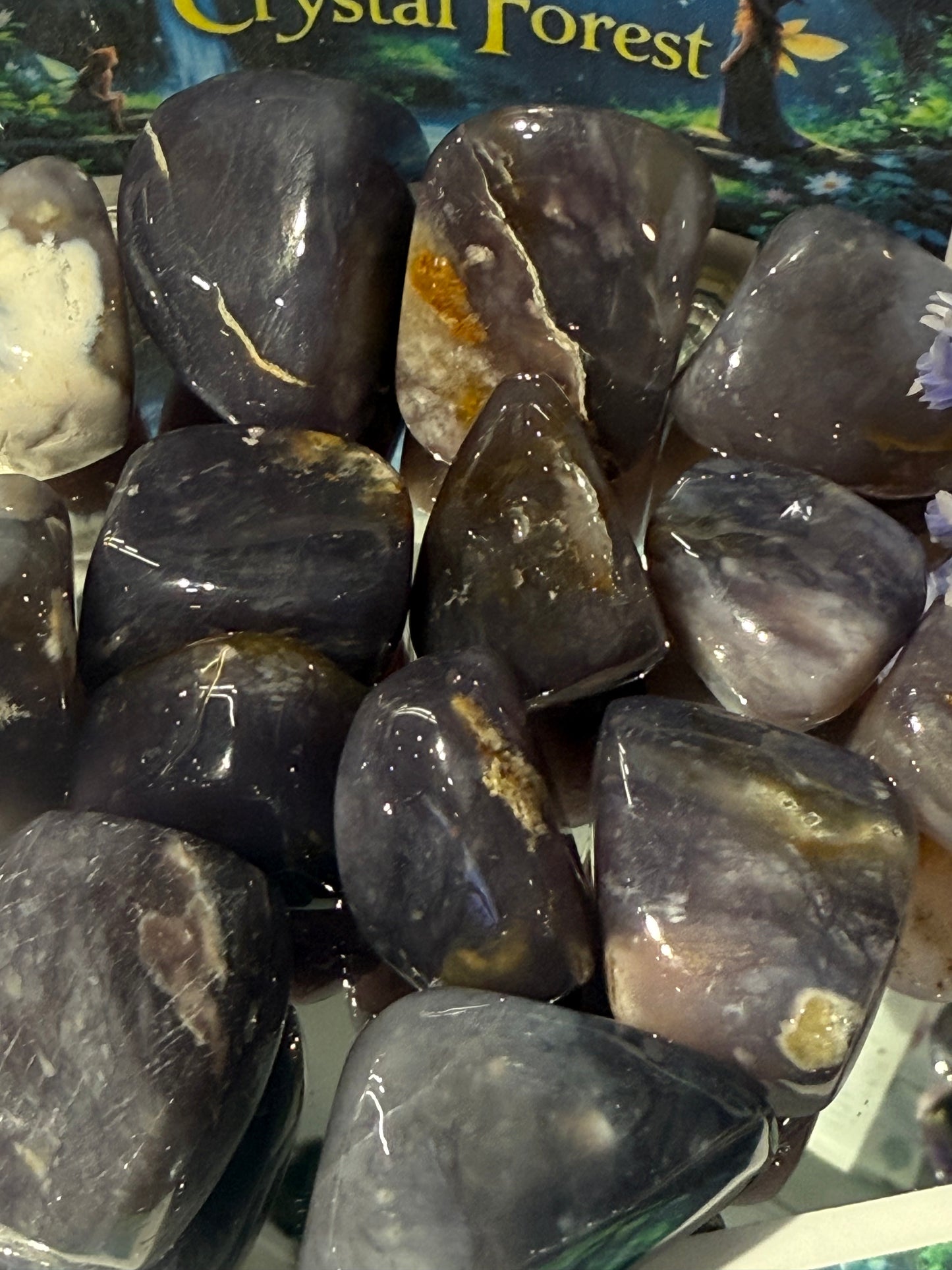 Purple Chalcedony Tumbled