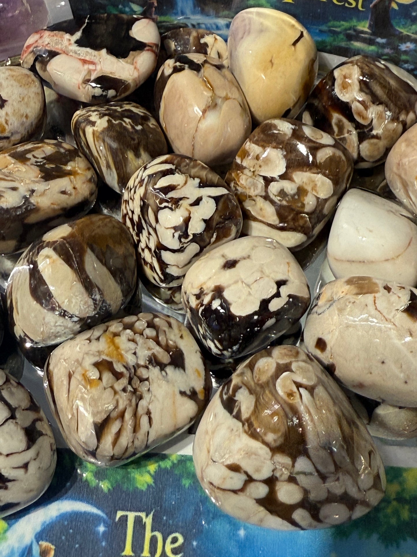 Peanut Wood Tumbled