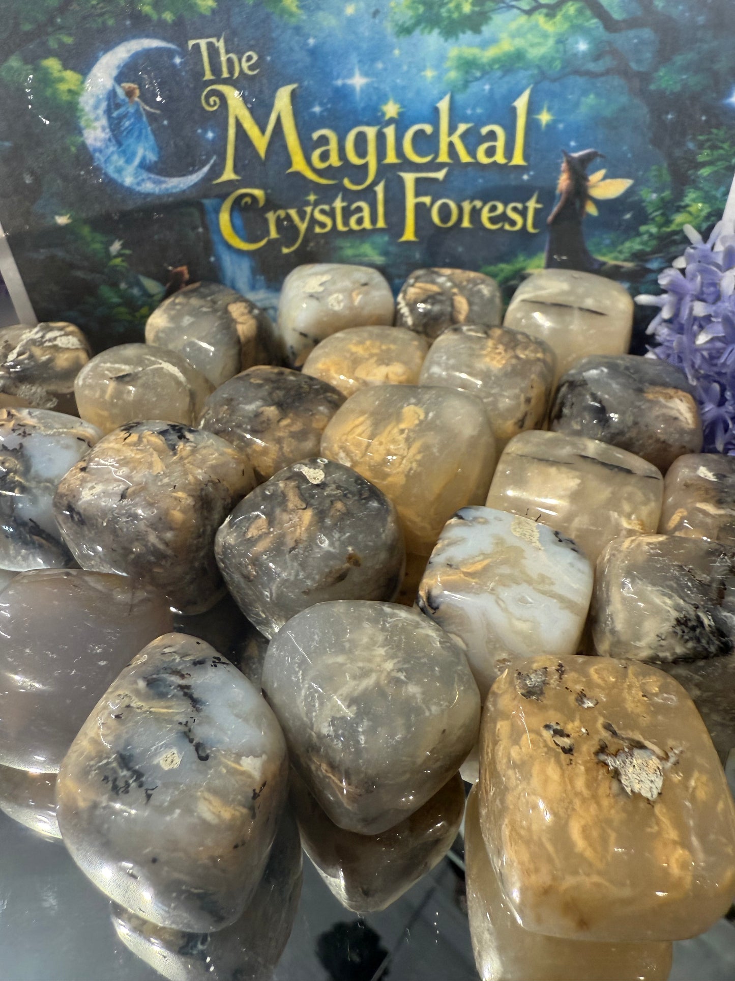 Dendritic Opal Tumbled