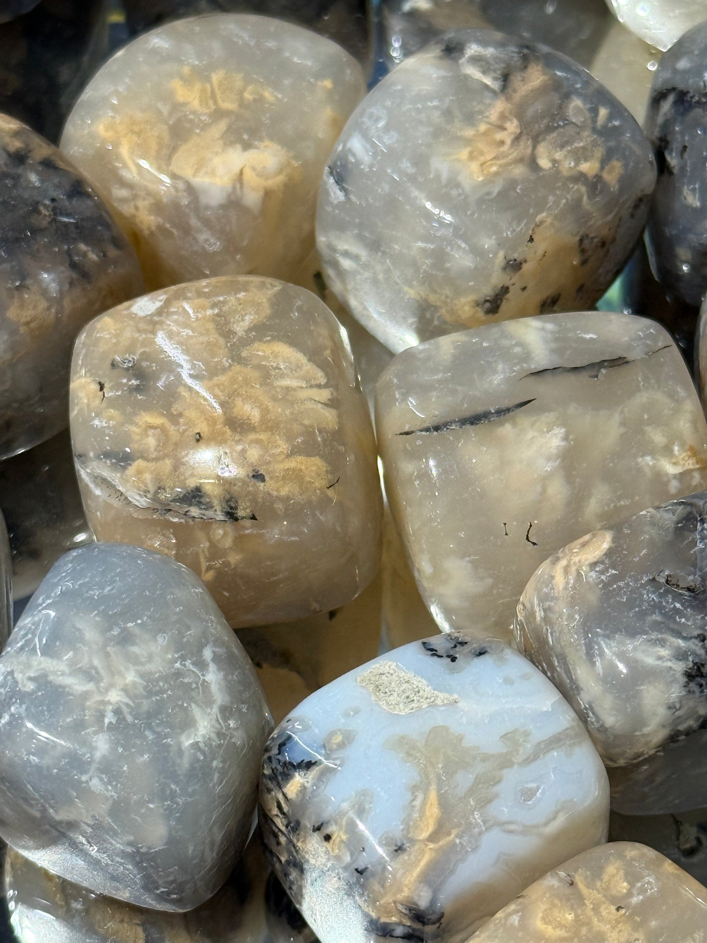 Dendritic Opal Tumbled