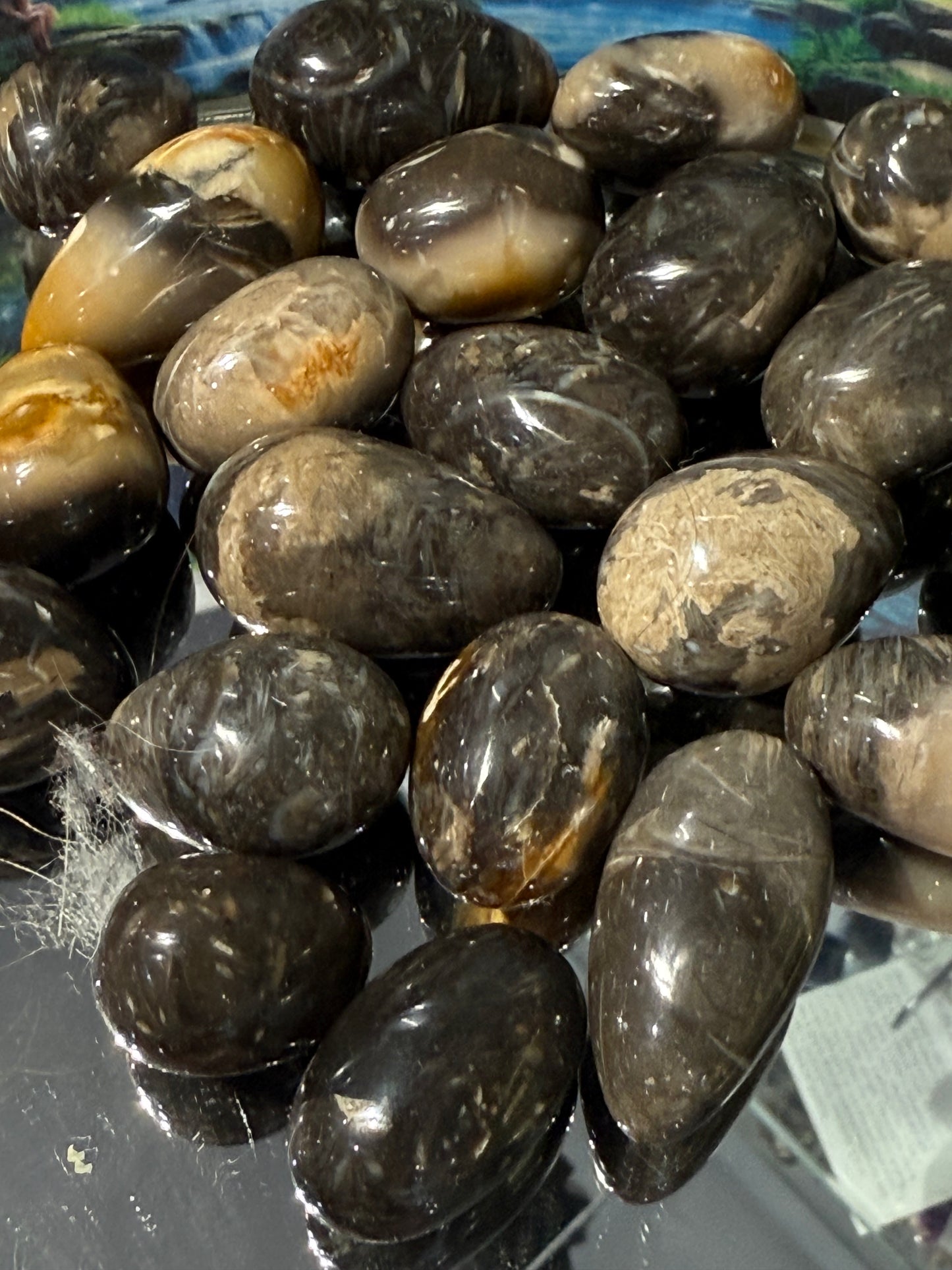 Feather Agate Tumbled