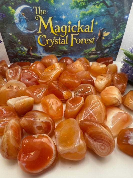 Apricot Lace Agate Tumbled