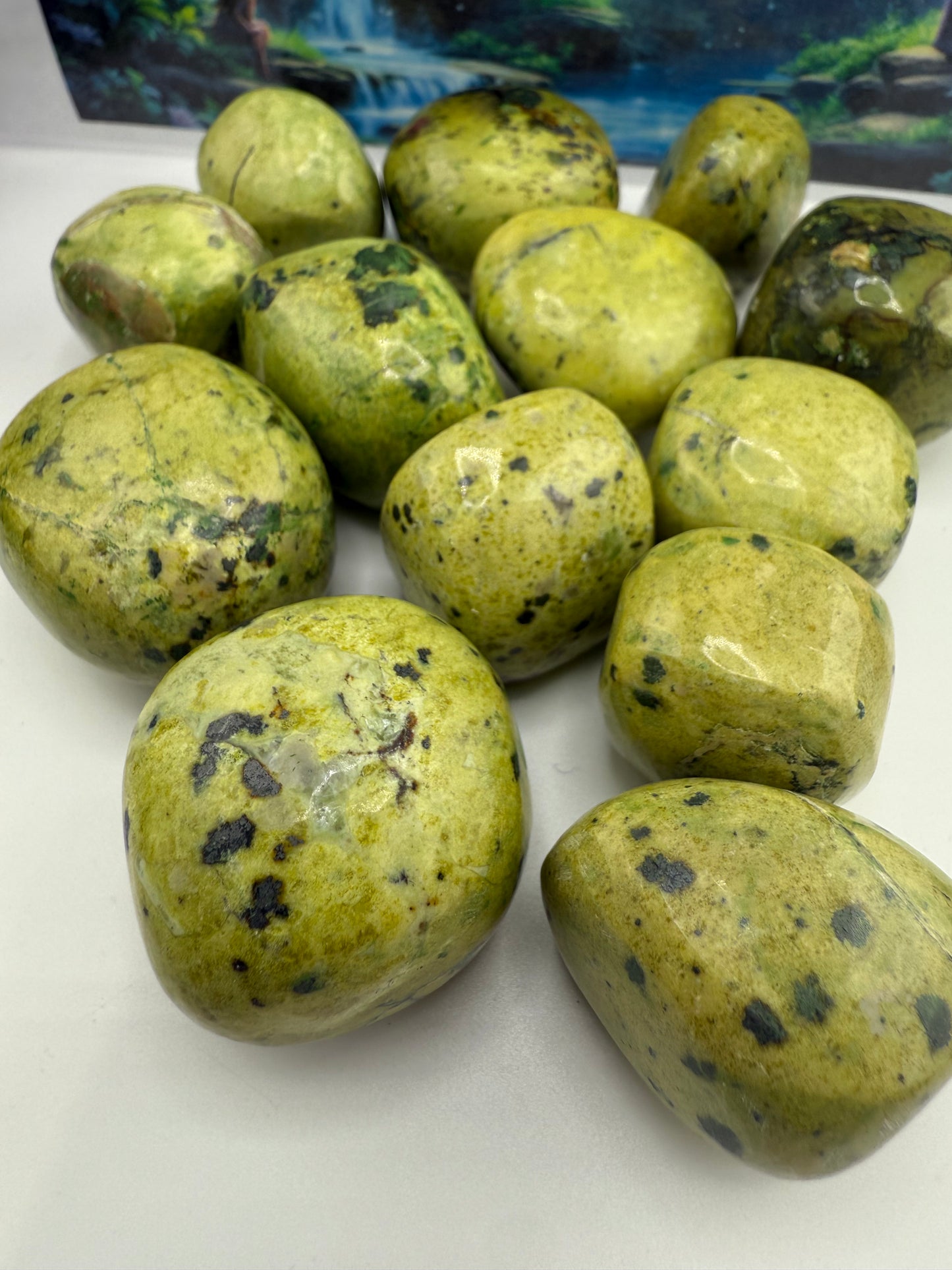 Lizardite Tumbled