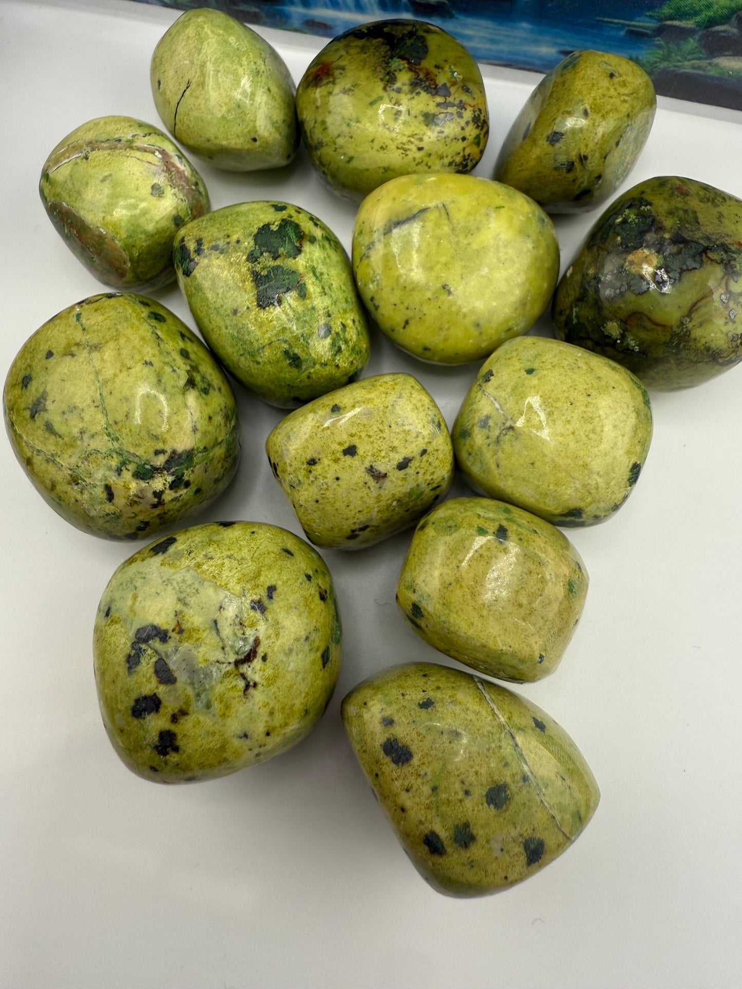 Lizardite Tumbled