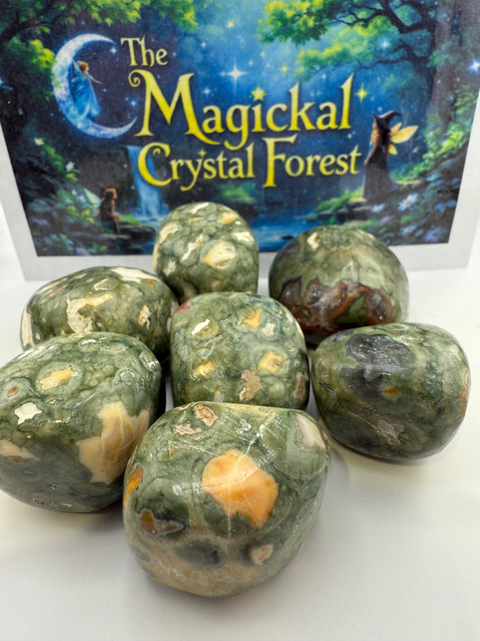 Rainforest Jasper Tumbled
