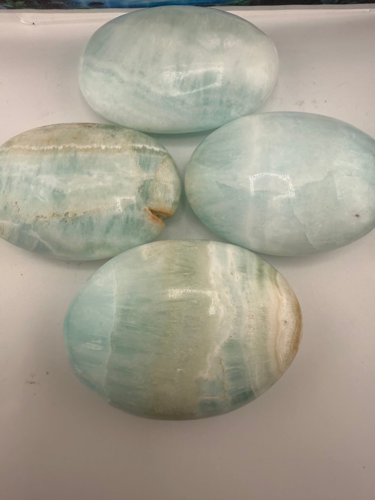 Caribbean Calcite Palm Stones
