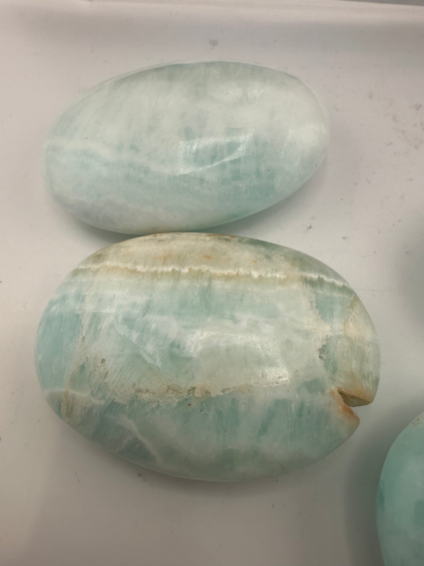 Caribbean Calcite Palm Stones