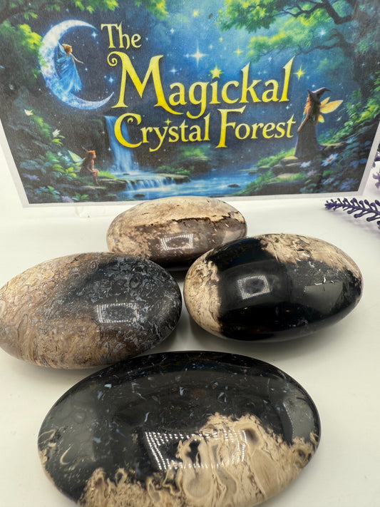 Palm Root Palm Stones