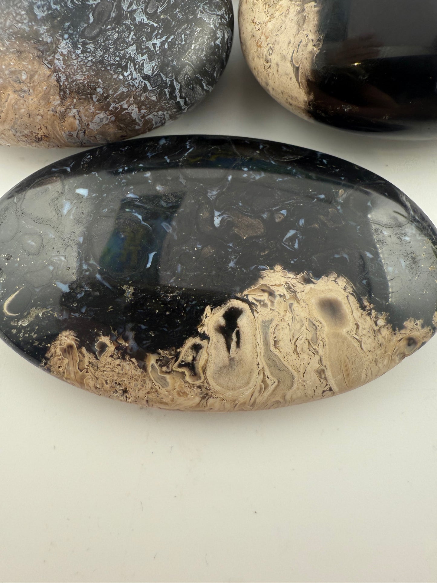 Palm Root Palm Stones