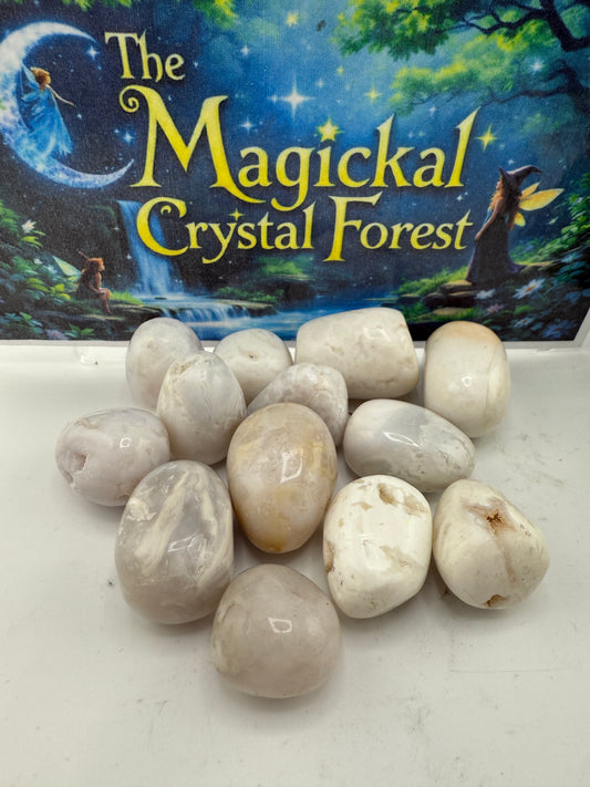 White Lace Agate Tumbled