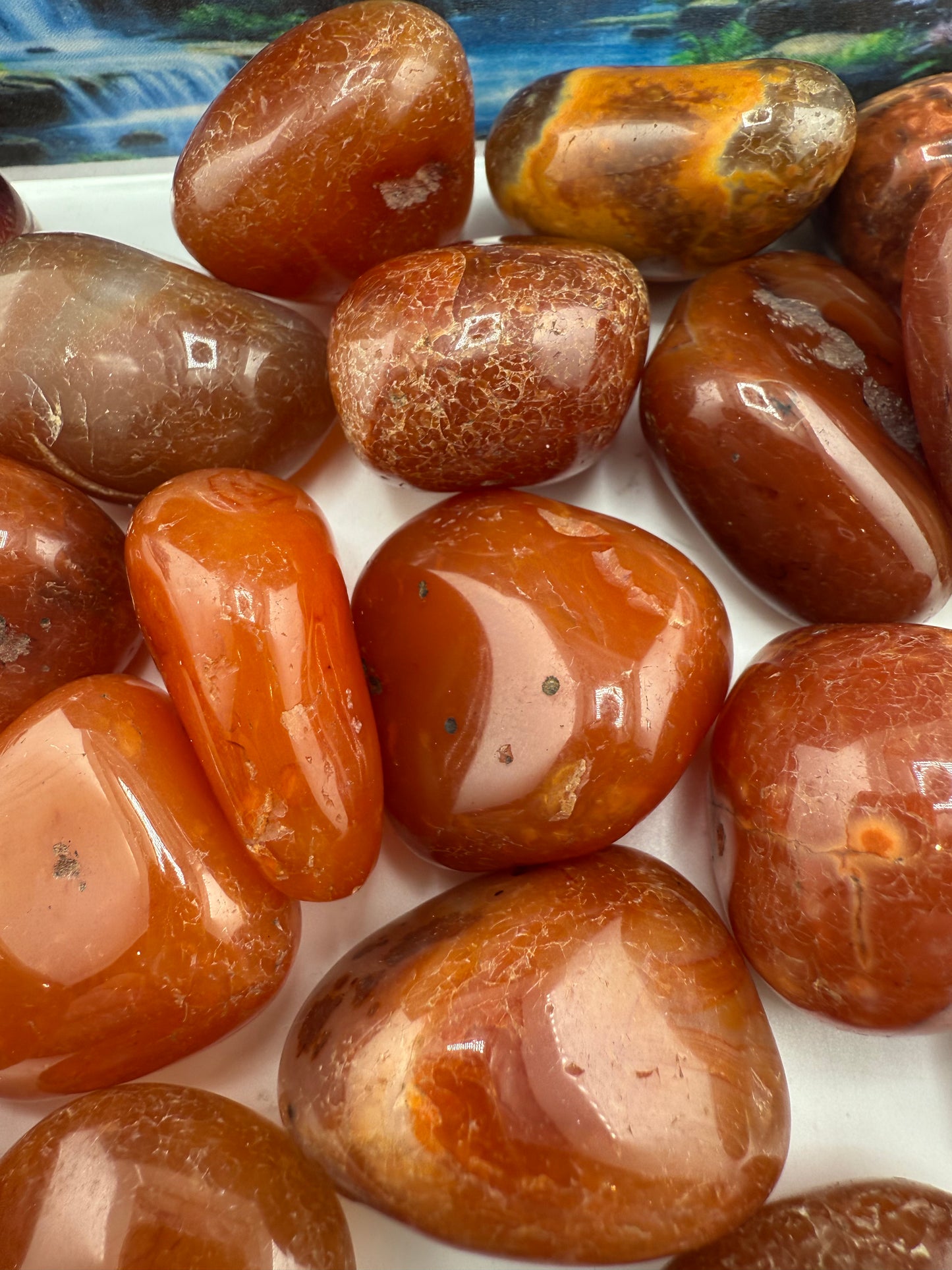 Carnelian Tumbled