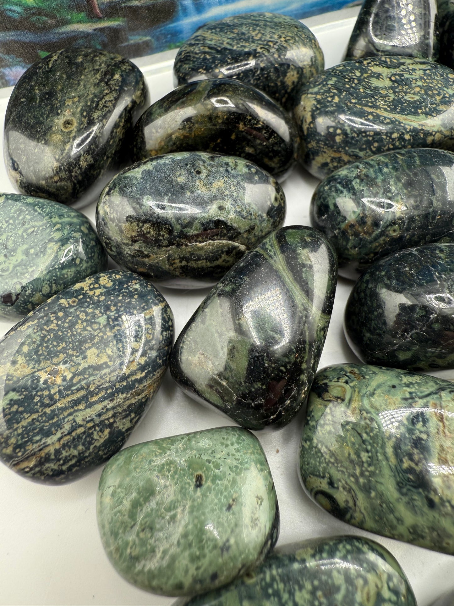 Kambaba Jasper Tumble