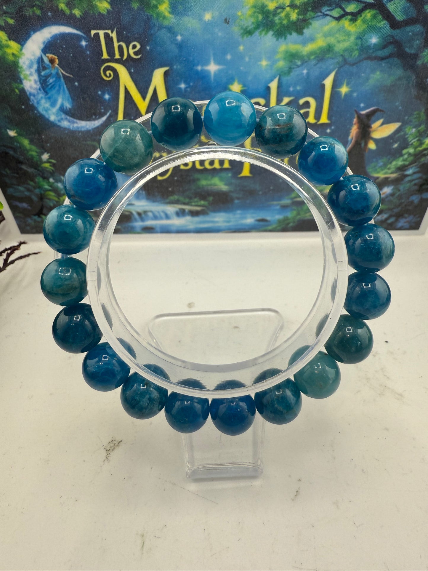 Apatite Bead Bracelet 10mm