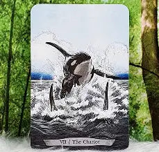 Animal Totem Tarot - Leeza Robertson