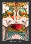 The Guardian of the night tarot.